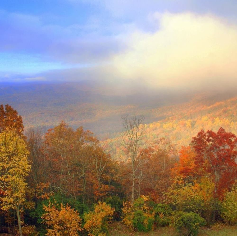 Amicalola Falls State Park And Lodge 道森维尔 外观 照片